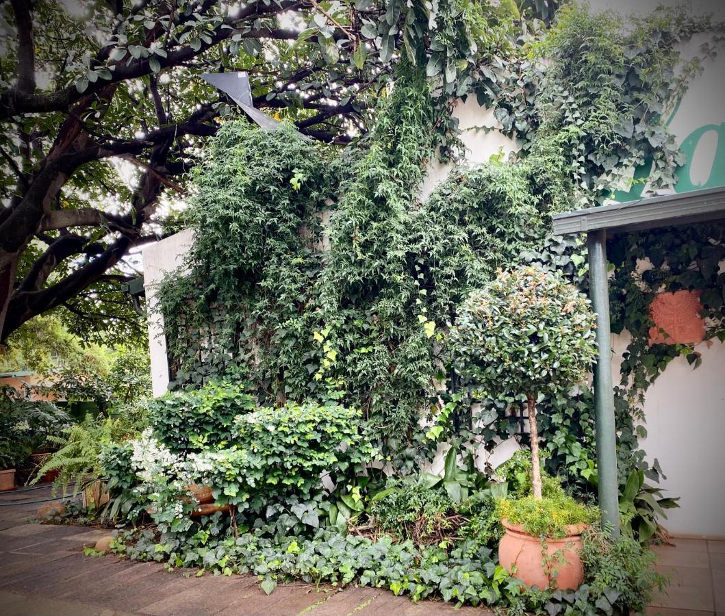 La Bella B&B Under The Fig Tree Bela-Bela Exteriér fotografie
